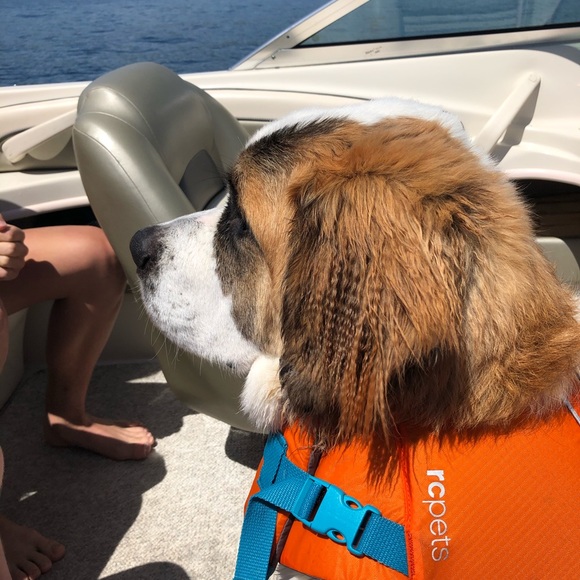 Meet your Posher, Greg - Picture 1 of 1